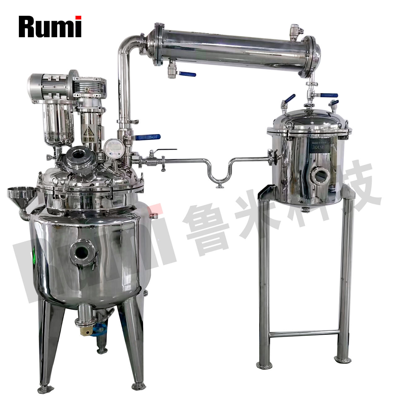 100 Litres Stainless Steel Resin Reactors